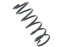 Load image into Gallery viewer, Pro Parts Coil Spring 43615866