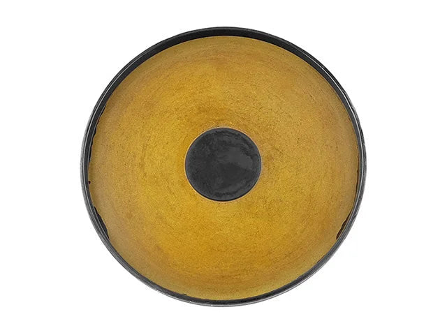 Pro Parts Crankshaft Pulley Cover 21437986 - Side View