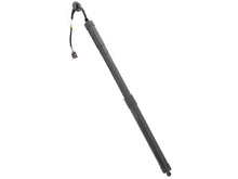 Load image into Gallery viewer, Pro Parts Hatch Shock 83437573