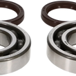 Load image into Gallery viewer, ProX Racing Parts - Crankshaft Bearing/Seal Kit - KTM - 23.CBS63017 - Back View