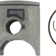 Load image into Gallery viewer, 09101160_0.png