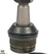 Load image into Gallery viewer, Proforged Ball Joint; Front Lower; 101-10105 - Back View