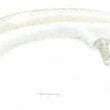 Load image into Gallery viewer, Proforged Control Arm w/Ball Joint; Front Left Lower Rearward; 108-10179 fits 2003-2009 INFINITI G35 / Nissan 350Z - Main ...