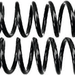 Load image into Gallery viewer, Progressive Rear Springs 65/130 (PR) - Black - Side View