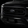 Load image into Gallery viewer, Putco 15-17 Ford F-150 Front Luminix Ford LED Emblem - Fits bar Style Grillee - Additional View 10