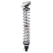 Load image into Gallery viewer, QA1 64-72 GM A/G-Body Pro Rear Coil-Over System - Double Adj. - 12in x 170lbs/in - Aluminum - Main Product View