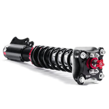 Load image into Gallery viewer, QA1 94-04 Ford Mustang Proma Star Coilover Strut Kit Double Adjust 150lb/in. - Back View
