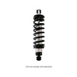 Load image into Gallery viewer, QA1 Proma Star Series Coil-Over Shock Absorber - Double Adj. - Bushing Mount - 11.125in/16.375in - Side View