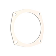 Load image into Gallery viewer, QTP 5in Bolt-On QTEC 4 Bolt Gasket