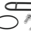 Load image into Gallery viewer, QuadBoss 01-05 Arctic Cat 250 2x4 Fuel Tap Kit