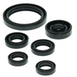 Load image into Gallery viewer, QuadBoss 04-13 Yamaha YFZ450 Oil Seal Set