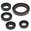 Load image into Gallery viewer, QuadBoss 06-09 Suzuki LT-R450 QuadRacer Oil Seal Set