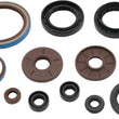 Load image into Gallery viewer, QuadBoss 09-10 Arctic Cat 1000 TRV Oil Seal Set - Main Product View