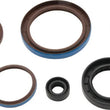 Load image into Gallery viewer, QuadBoss 12-14 Arctic Cat 550 4x4 EFI Oil Seal Set - Main Product View