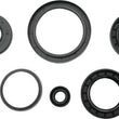 Load image into Gallery viewer, QuadBoss 12-14 Arctic Cat 550 4x4 EFI Oil Seal Set - Side View