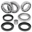 Load image into Gallery viewer, QuadBoss 13-15 Arctic Cat Wildcat 1000 Rear Differential Bearing &amp; Seal Kit