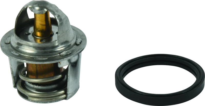 QuadBoss 14-16 Polaris ACE 325 Thermostat
