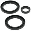 Load image into Gallery viewer, QuadBoss 2002 Polaris ATV 500 Pro Rear Differential Seal Kit
