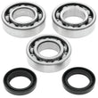 Load image into Gallery viewer, QuadBoss 94-95 Polaris 300 2x4/4x4 Crankshaft Bearing &amp; Seal Kit