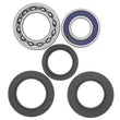 Load image into Gallery viewer, QuadBoss 95-99 Yamaha YFM350 Wolverine (03) Rear ATV Wheel Bearing &amp; Seal Kit