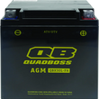 Load image into Gallery viewer, QuadBoss Maintenance-Free AGM Battery QBX30L-FA