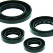 Load image into Gallery viewer, QuadBoss Oil Seal Set