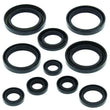 Load image into Gallery viewer, QuadBoss Oil Seal Set fits 2004-2005 Honda TRX450R