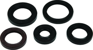 QuadBoss Oil Seal Set fits 2005-2020 Polaris Phoenix 200 / 2014 Polaris RZR 170 / 2006-2007 Polaris Sawtooth