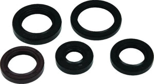 QuadBoss Oil Seal Set fits 2005-2020 Polaris Phoenix 200 / 2014 Polaris RZR 170 / 2006-2007 Polaris Sawtooth