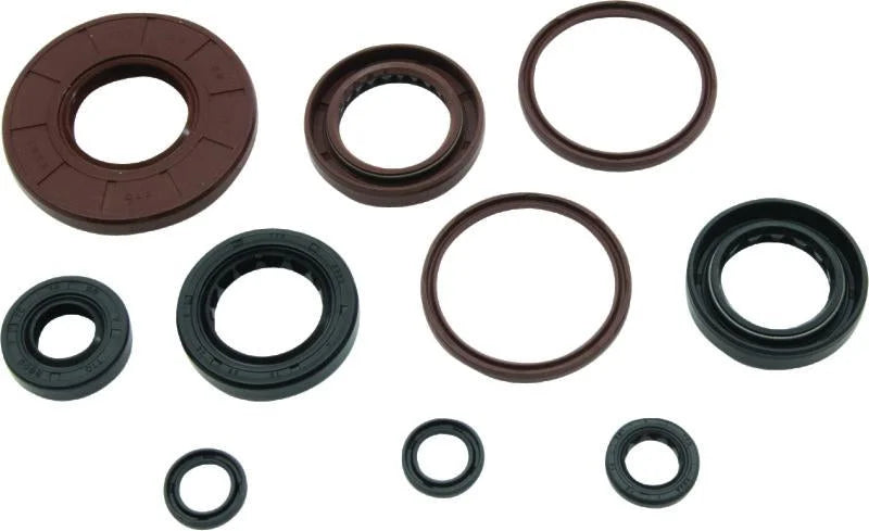 QuadBoss Oil Seal Set fits 2006-2009 Arctic CAT 250 2X4 / 2017-2020 Arctic CAT Alterra 300 / 2006-2008 Arctic CAT DVX 250