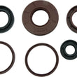 Load image into Gallery viewer, QuadBoss Oil Seal Set fits 2009-2015 Arctic CAT DVX 300 - Side View