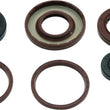 Load image into Gallery viewer, QuadBoss Oil Seal Set fits 2009-2015 Arctic CAT DVX 300 - Detail View