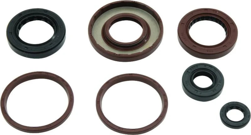 QuadBoss Oil Seal Set fits 2009-2015 Arctic CAT DVX 300 - Detail View