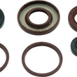 Load image into Gallery viewer, QuadBoss Oil Seal Set fits 2009-2015 Arctic CAT DVX 300 - Detail View