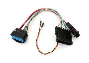 Quickcar Racing Harness Adapter MSD to 6 Pin Spec Harness 50-2013