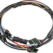 Load image into Gallery viewer, Quickcar Racing Ignition Harness - Single Box Dual Trigger 50-2034
