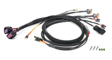 Load image into Gallery viewer, Quickcar Racing Wiring Harness MSD CT525 50-2036 fits Gm LS