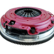 Load image into Gallery viewer, RAM Clutches Force 9.5 dual disc organic 75-2127 - Main Product View