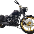 Load image into Gallery viewer, RC Components Wheel - Laguna - Front - Dual Disc/without ABS - Gold - 19x3 193-140G-F - Side View
