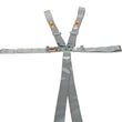 Load image into Gallery viewer, RCI Harness System 5/6pt P/D L/L Platinum