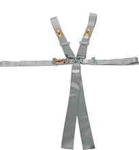 Load image into Gallery viewer, RCI Harness System 5/6pt P/D L/L Platinum