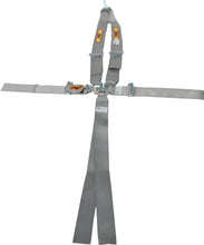 Load image into Gallery viewer, RCI Harness System 5/6pt P/D L/L V-Type Platinum