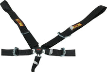 Load image into Gallery viewer, RCI Harness System 5pt P/D Camlock