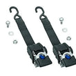 Load image into Gallery viewer, REESE Transom Retractable Ratc het Tie Down 2in x 43in 2060266