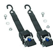 Load image into Gallery viewer, REESE Transom Retractable Ratc het Tie Down 2in x 43in 2060266