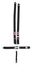 Load image into Gallery viewer, RJS 5 PT Harness System BK Ind Wrap Mt