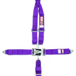 Load image into Gallery viewer, RJS 5 PT Harness System PL Roll bar MT 3IN Sub