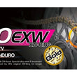 Load image into Gallery viewer, RK Chain GB520EXW-96L XW-Ring - Gold