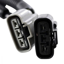 Load image into Gallery viewer, RMSTATOR RMSTATOR CONVERSION HARNESS RMS957-103510 - Back View