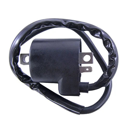 RMSTATOR RMSTATOR EXTERNAL IGNITION COIL RM06035